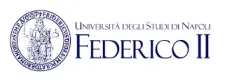 university-of-naples-federico-II