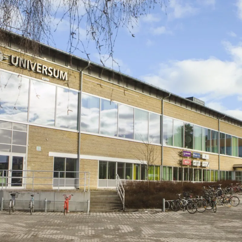 UMEA University