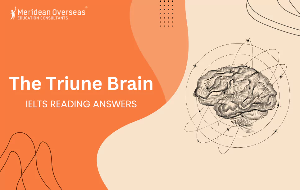 the-triune-brain-ielts-reading-answers