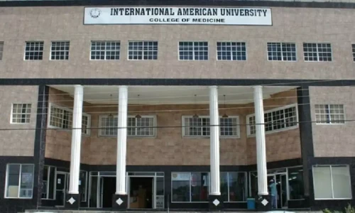 international-american-university-banner