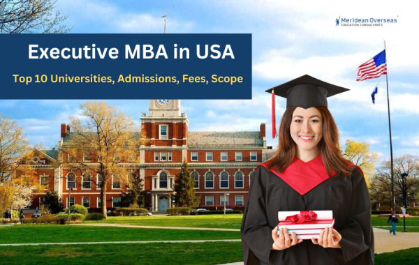 Executive MBA in USA: Top Universities, Scholarships, Fees, & More