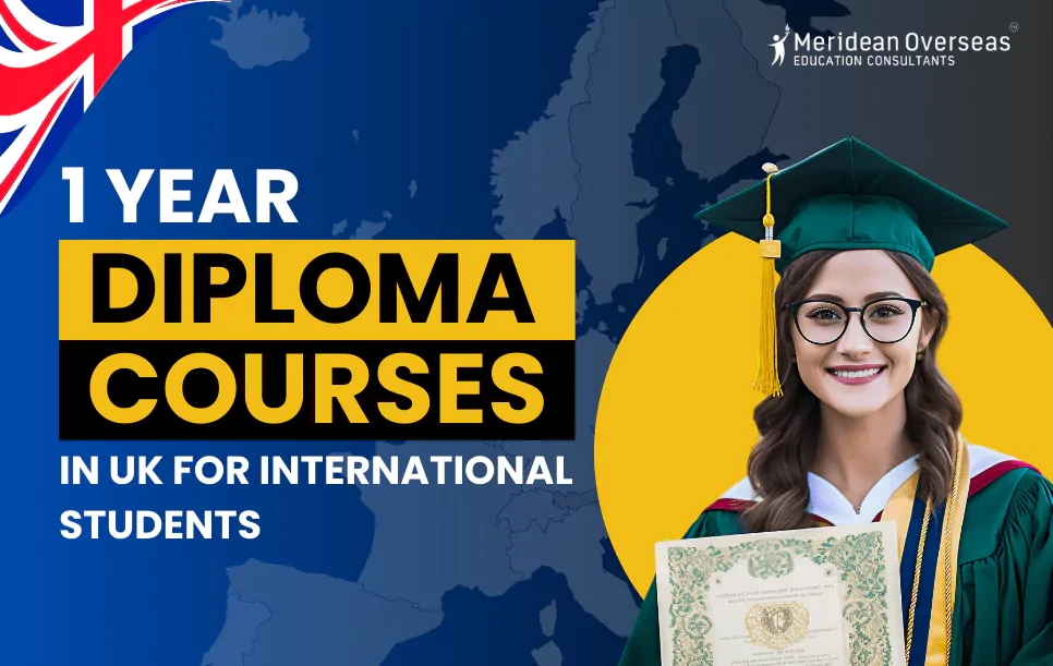 1 year diploma courses