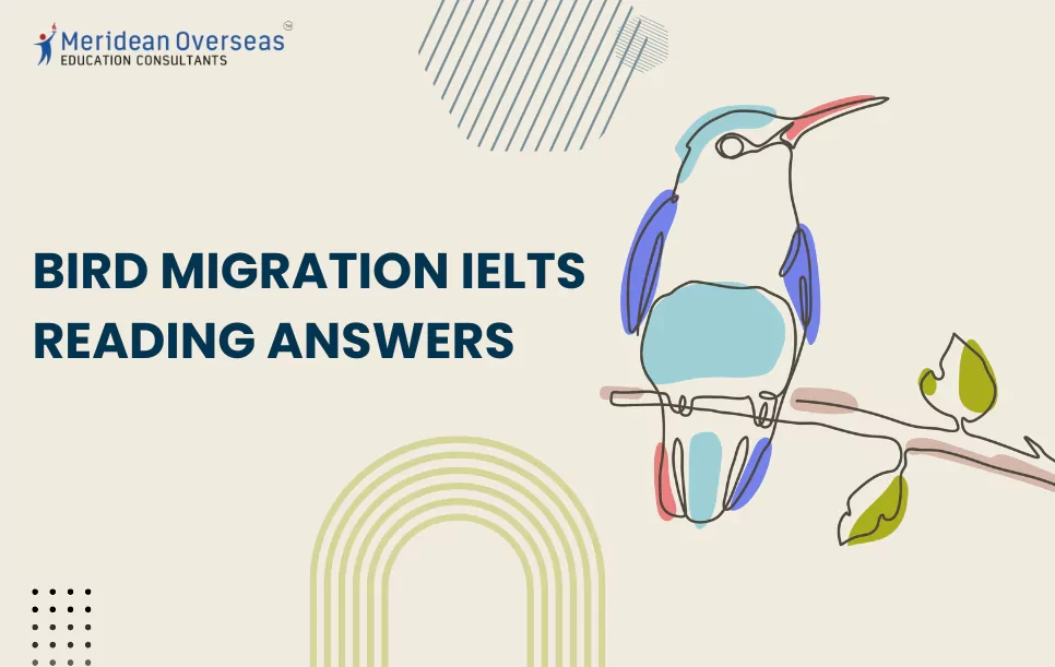 Bird Migration IELTS Reading Answers