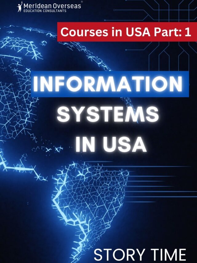 Information System Courses in the USA